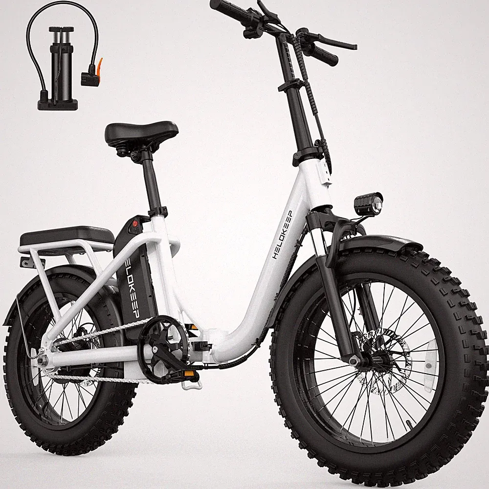 16" Folding bicycle ebike 750W Peak City Bike 48V 10Ah Fat Tire for Adults Ebike
